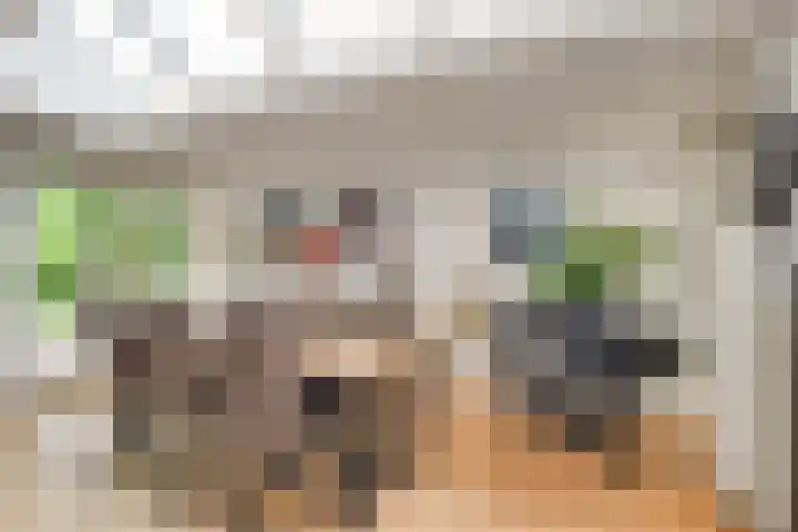 Hofje van Maat 41 Poeldijk thumbnail 4