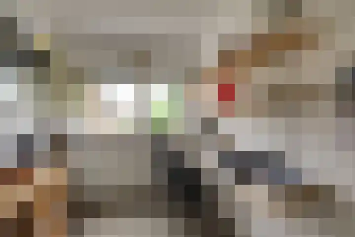 Hofje van Maat 41 Poeldijk thumbnail 40