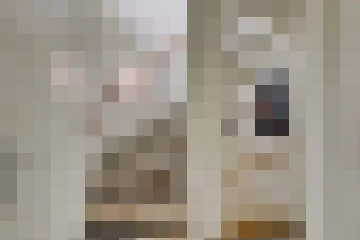 Hofje van Maat 41 Poeldijk thumbnail 42