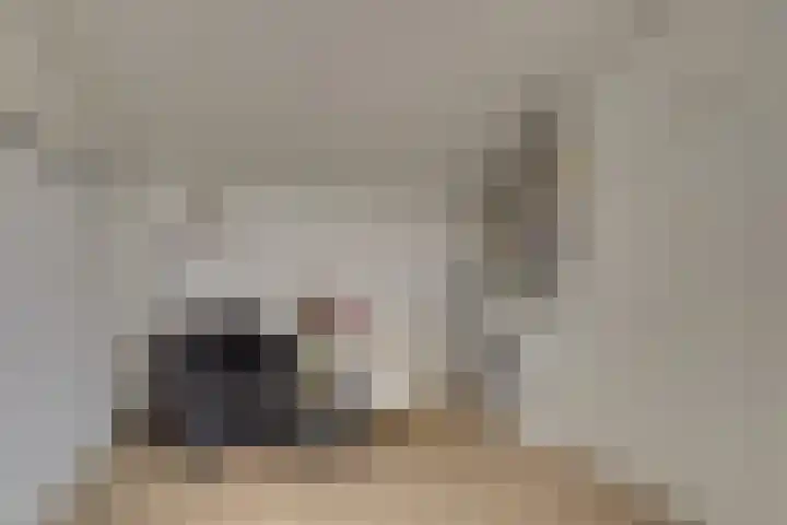 Hofje van Maat 41 Poeldijk thumbnail 43