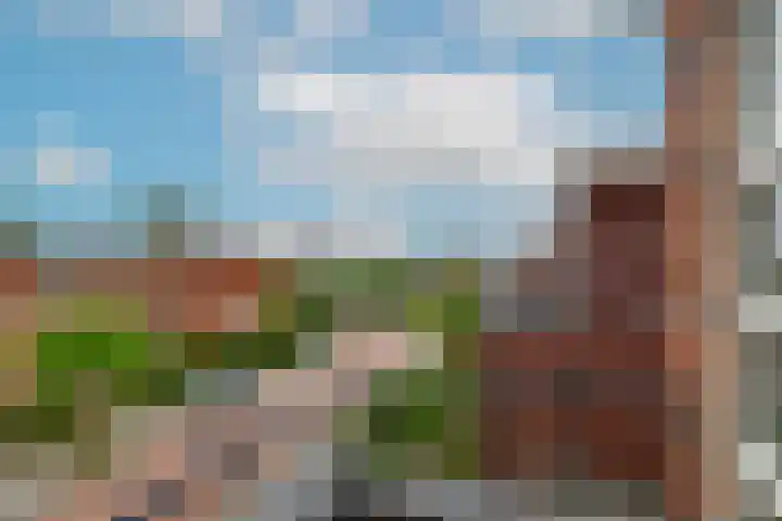 Hofje van Maat 41 Poeldijk thumbnail 49