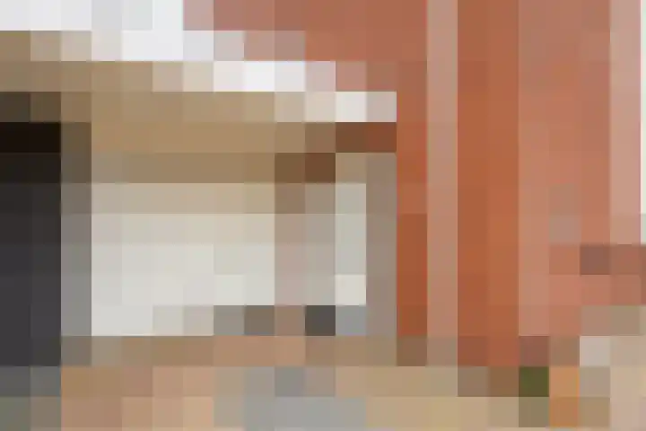 Hofje van Maat 41 Poeldijk thumbnail 50
