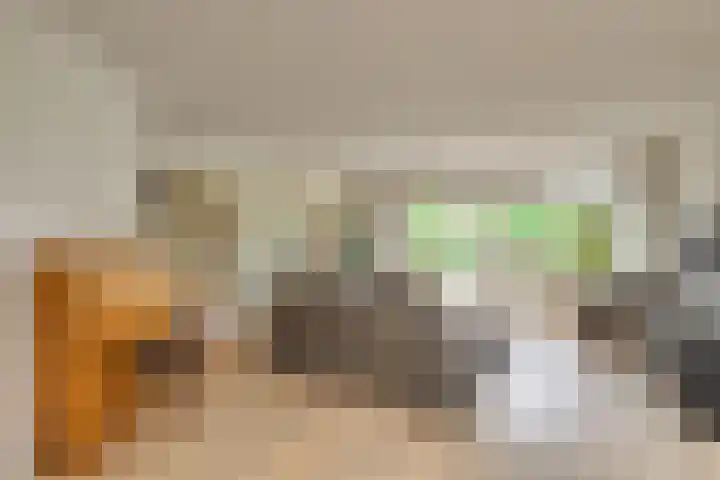 Hofje van Maat 41 Poeldijk thumbnail 6