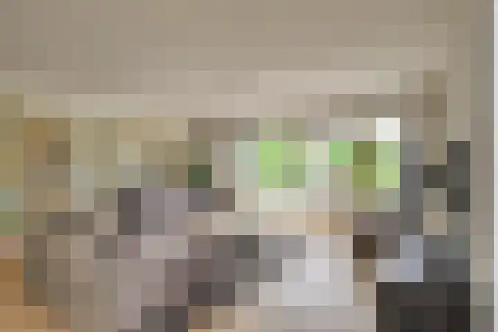 Hofje van Maat 41 Poeldijk thumbnail 7