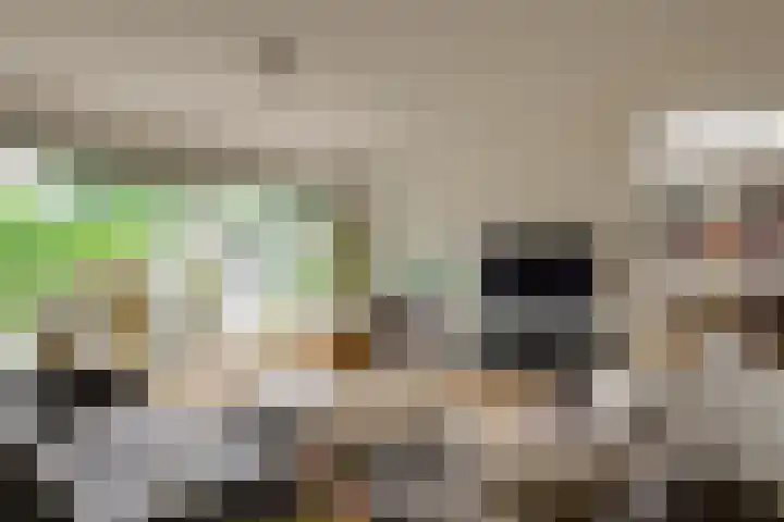 Hofje van Maat 41 Poeldijk thumbnail 8