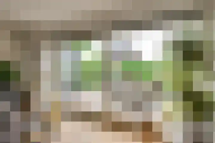 Hofje van Maat 41 Poeldijk thumbnail 9