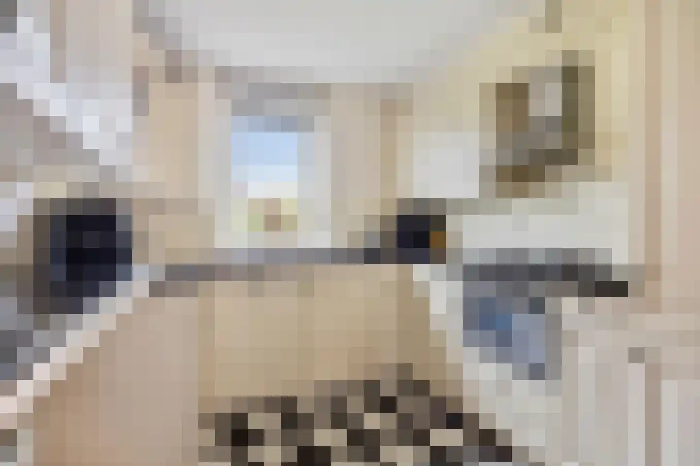 Hofje van Noblet 25 Krimpen aan den IJssel thumbnail 10