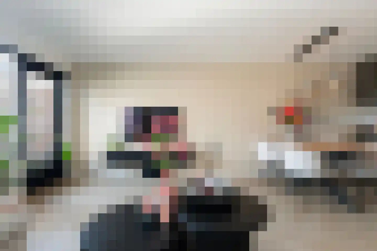 Hofje van Noblet 26 Krimpen aan den IJssel thumbnail 16