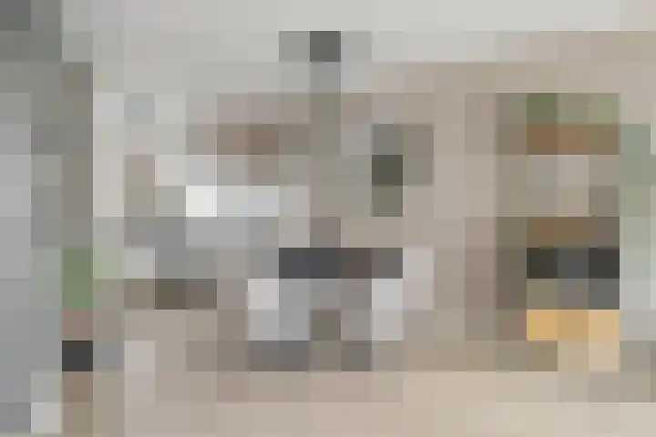 Hofje van Noblet 35 Krimpen aan den IJssel thumbnail 10