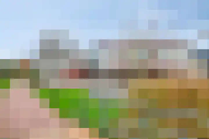 Hofje van Noblet 35 Krimpen aan den IJssel thumbnail 39