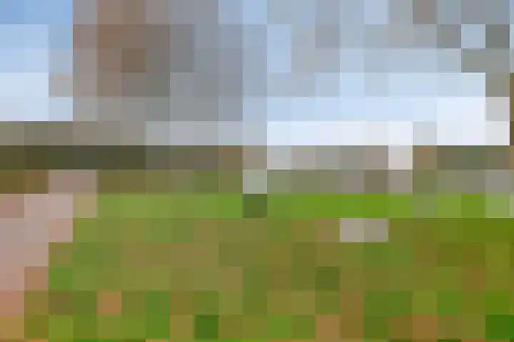 Hofje van Noblet 35 Krimpen aan den IJssel thumbnail 40