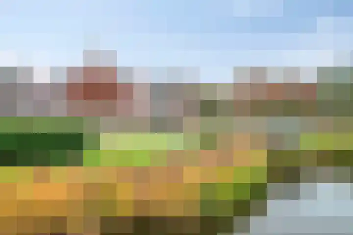 Hofje van Noblet 35 Krimpen aan den IJssel thumbnail 42
