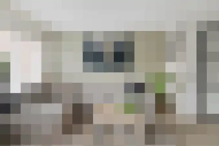 Hofje van Noblet 35 Krimpen aan den IJssel thumbnail 9