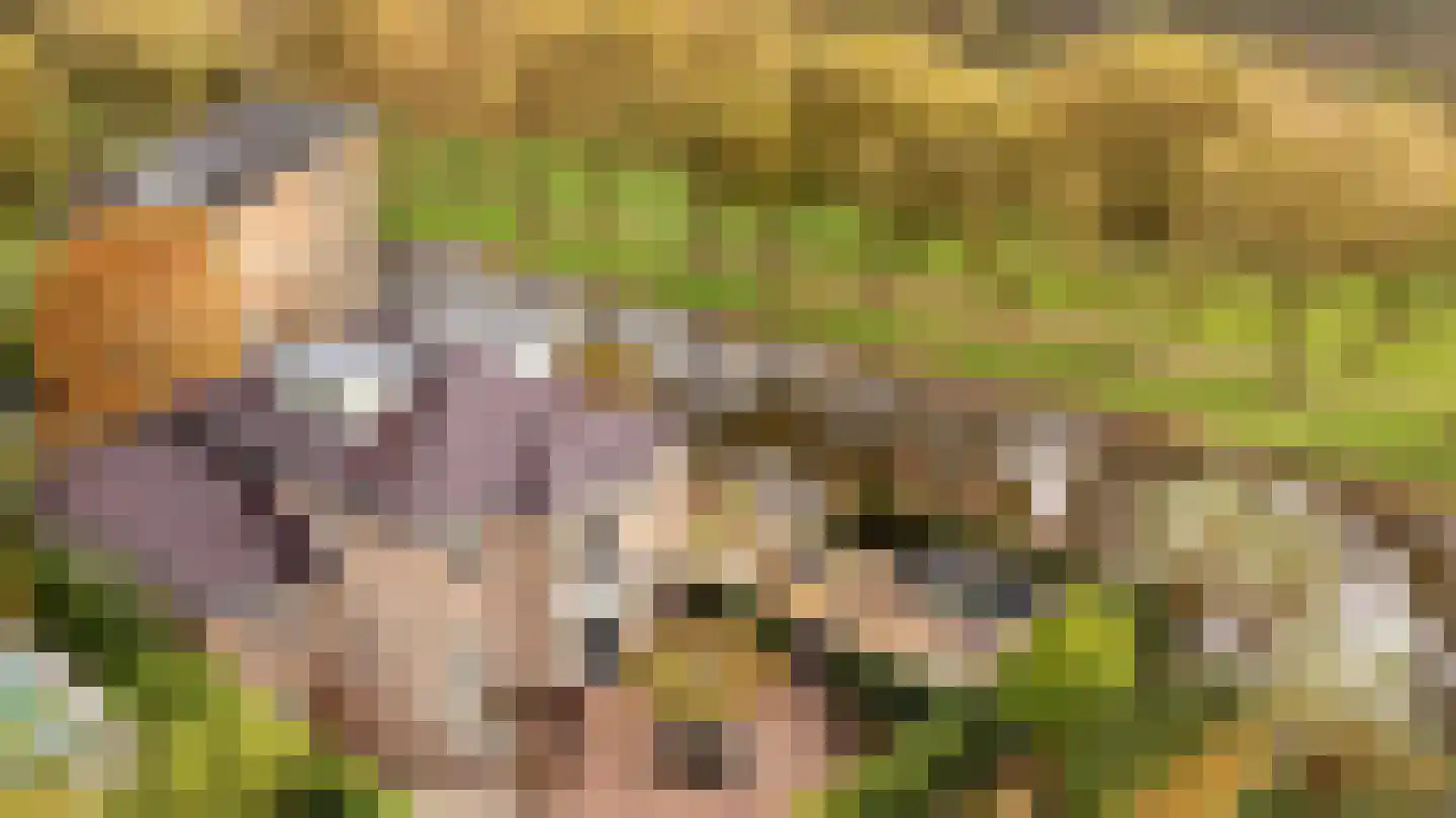 Hofje van Staats 15 Krimpen aan den IJssel thumbnail 13