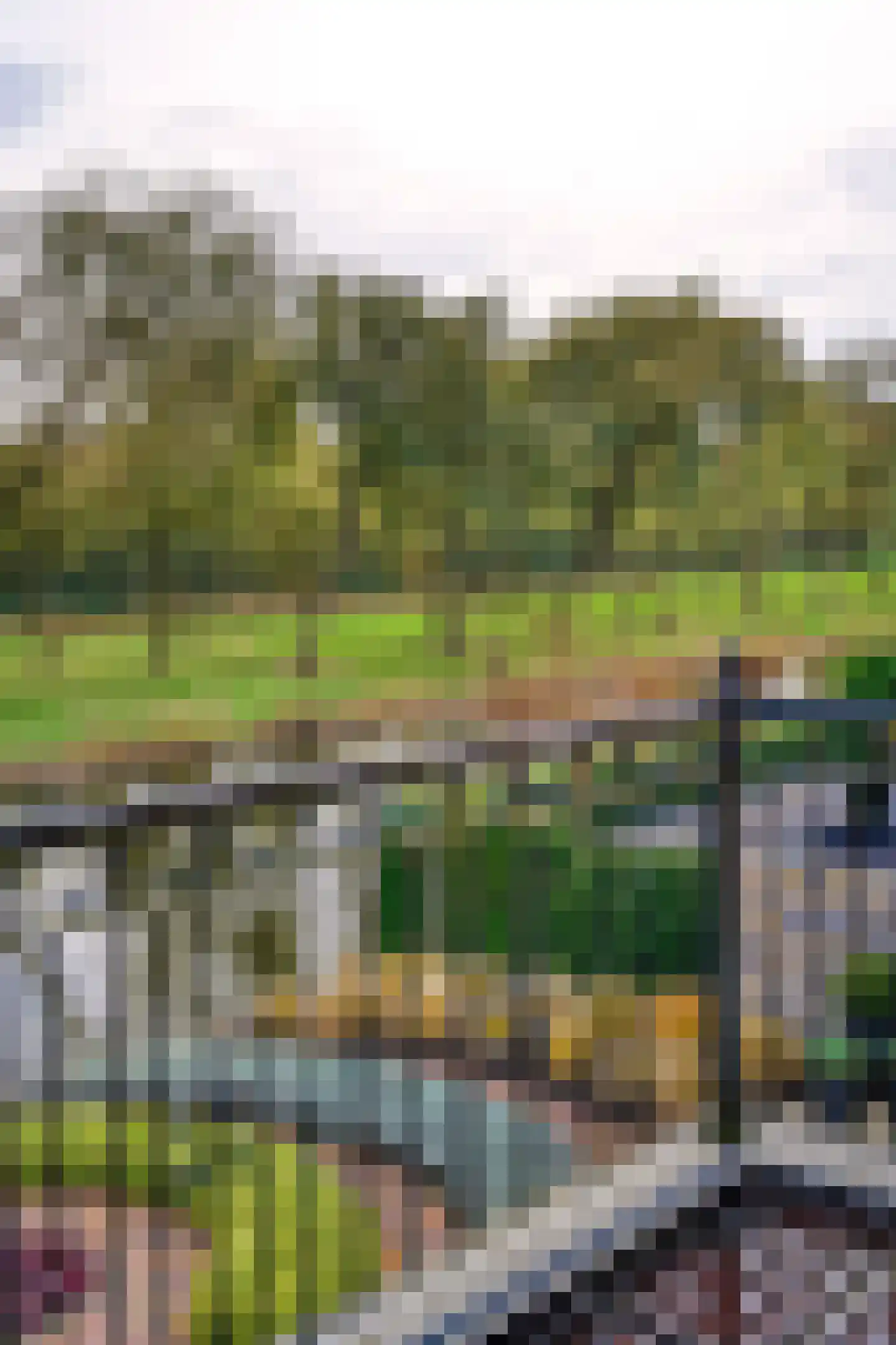 Hofje van Staats 15 Krimpen aan den IJssel thumbnail 18