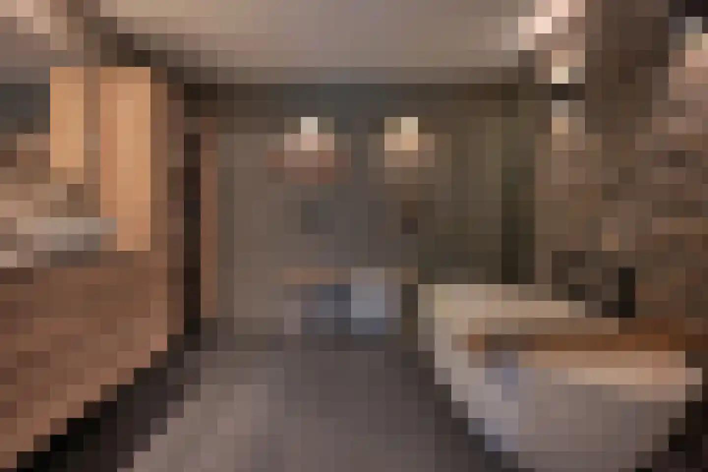 Hofje van Staats 15 Krimpen aan den IJssel thumbnail 19