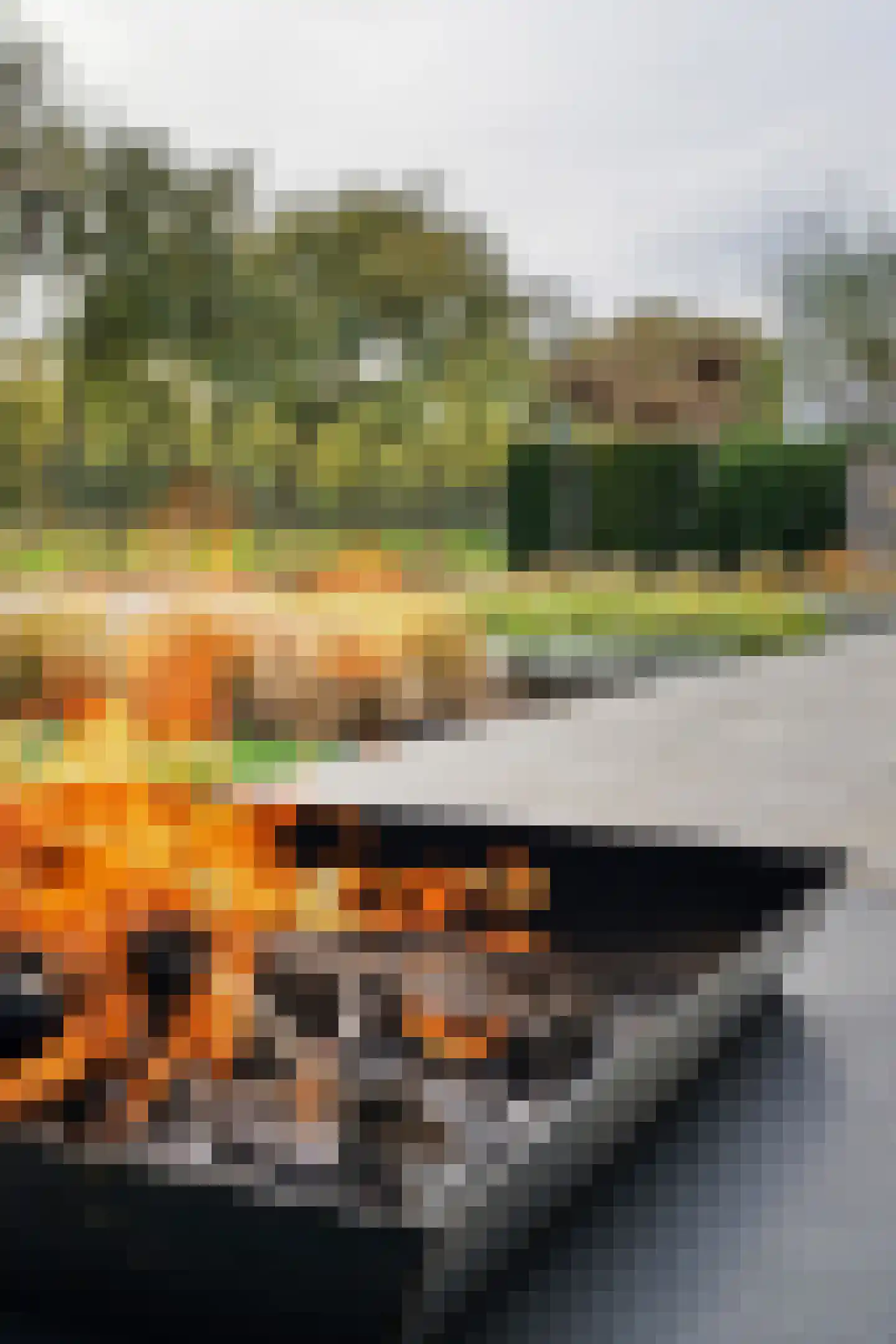 Hofje van Staats 15 Krimpen aan den IJssel thumbnail 29