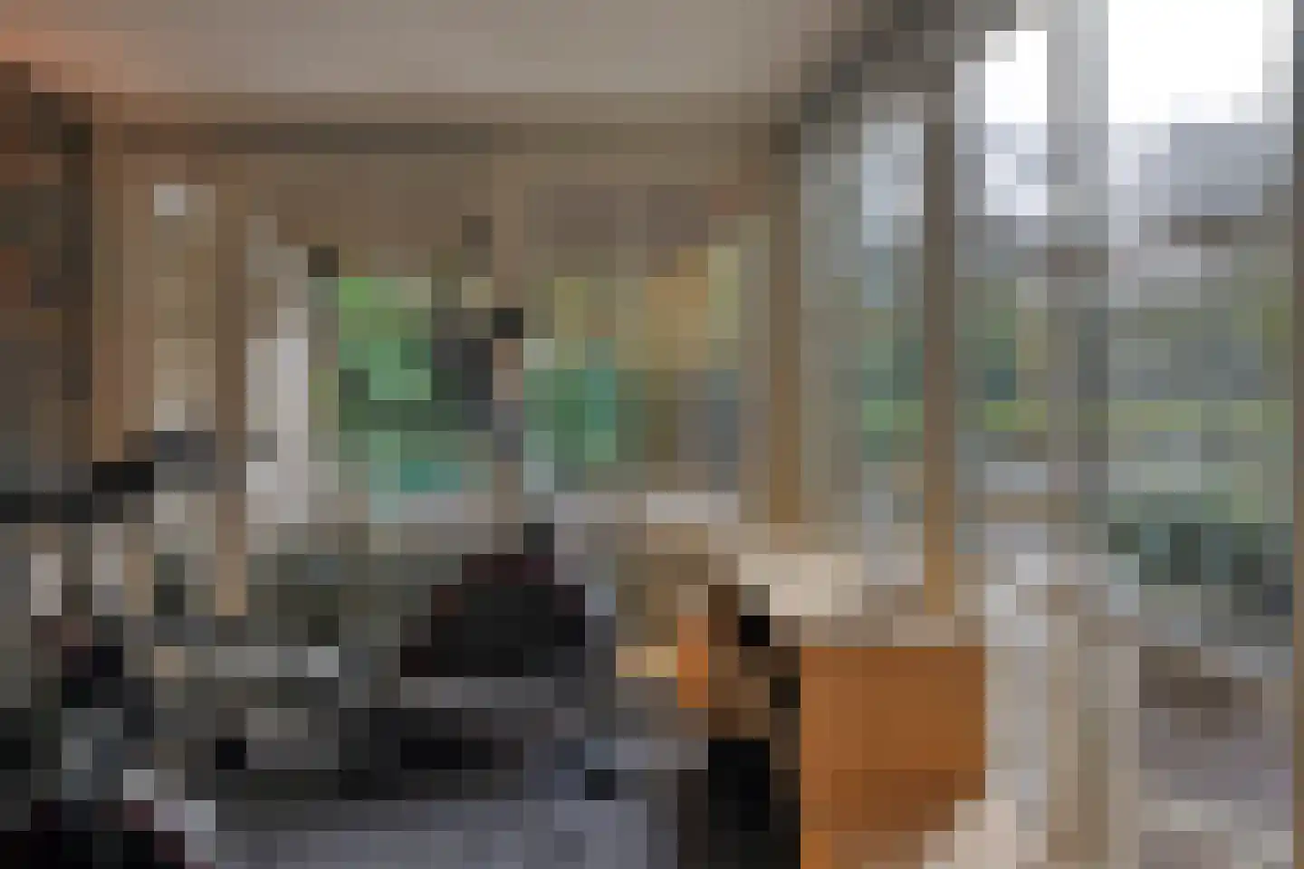 Hofje van Staats 15 Krimpen aan den IJssel thumbnail 32
