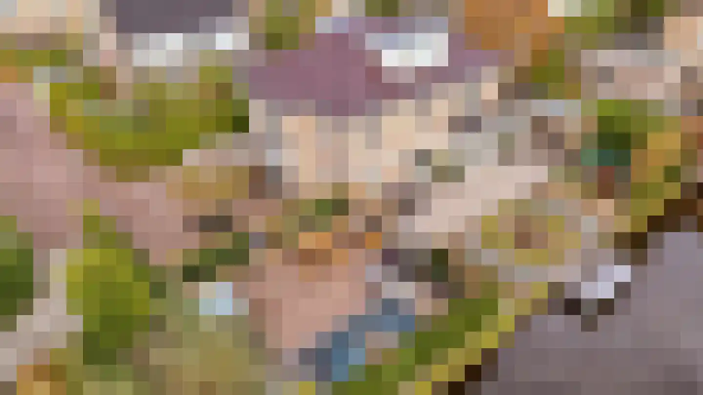 Hofje van Staats 15 Krimpen aan den IJssel thumbnail 40