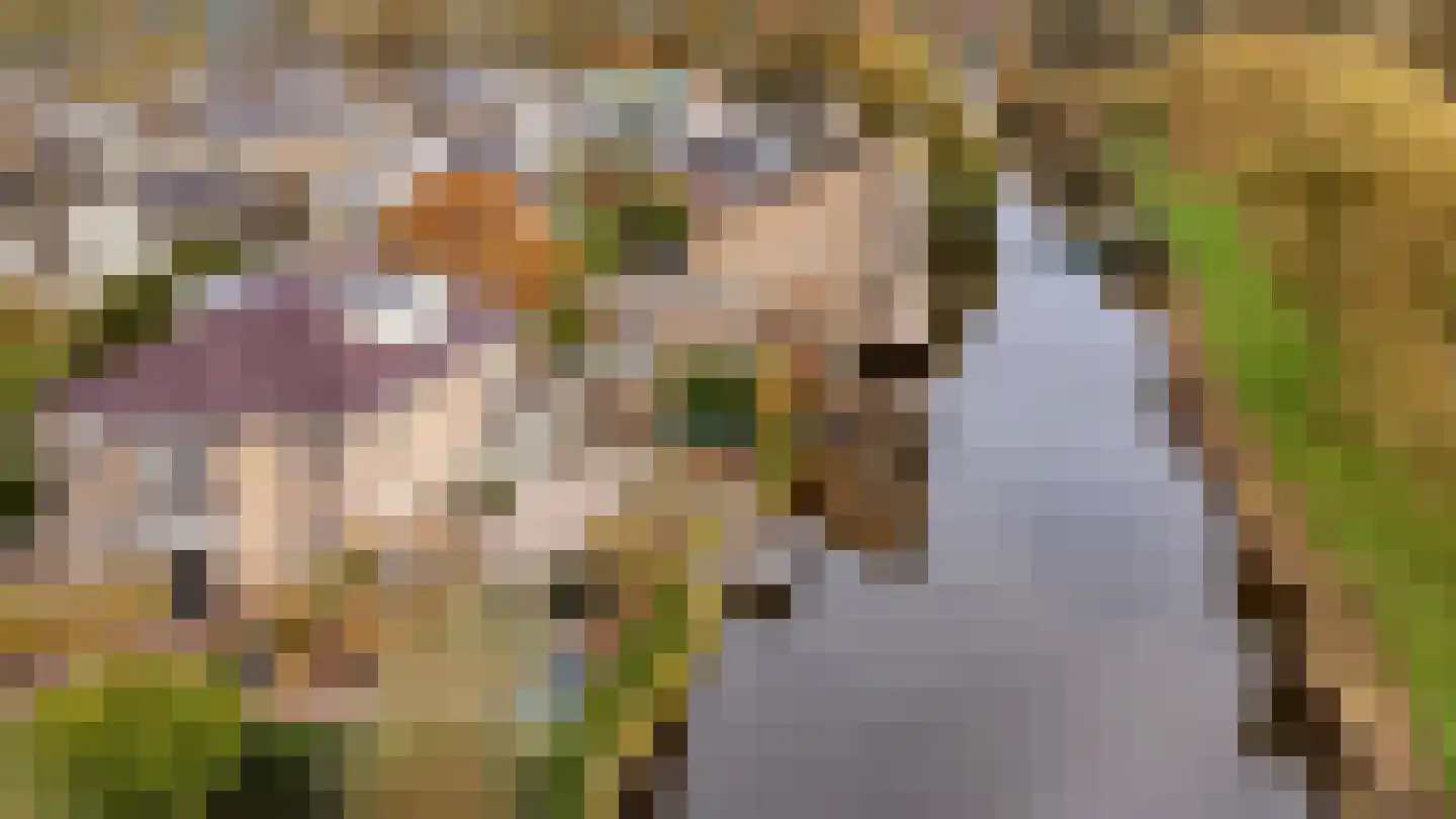 Hofje van Staats 15 Krimpen aan den IJssel thumbnail 41