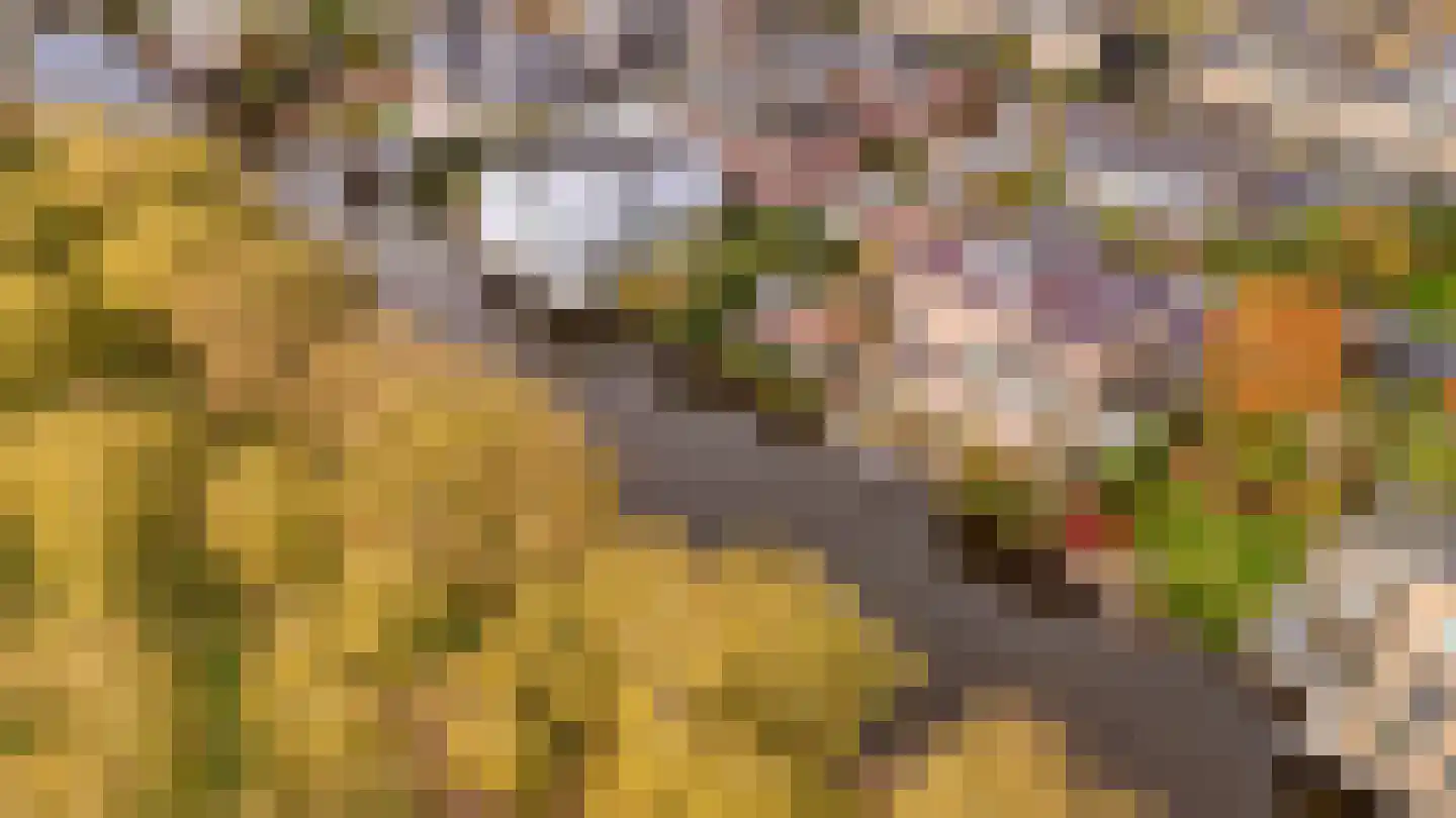 Hofje van Staats 15 Krimpen aan den IJssel thumbnail 42