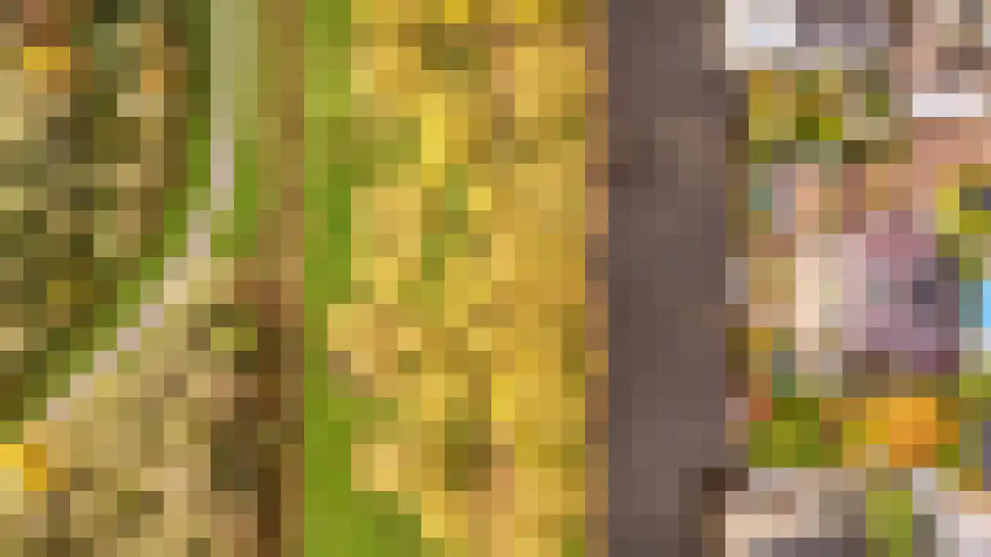 Hofje van Staats 15 Krimpen aan den IJssel thumbnail 43