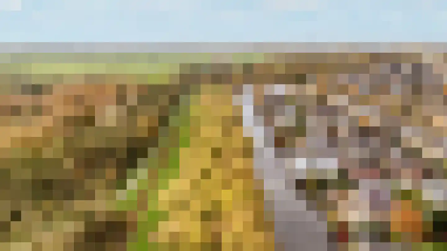 Hofje van Staats 15 Krimpen aan den IJssel thumbnail 44