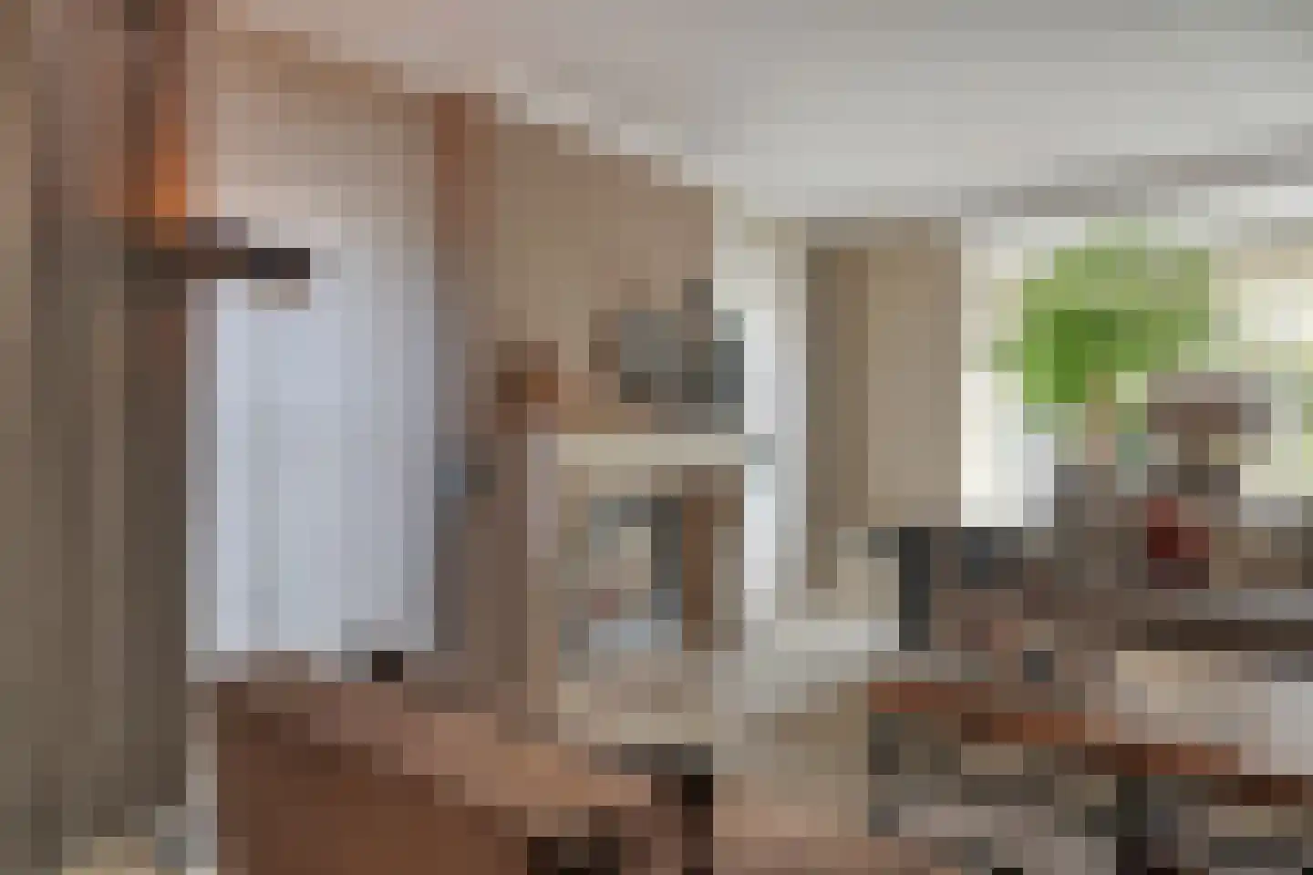 Hofje van Staats 15 Krimpen aan den IJssel thumbnail 7