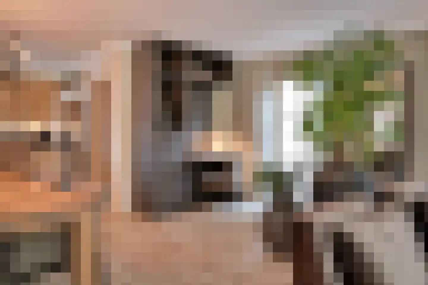 Hofje van Staats 15 Krimpen aan den IJssel thumbnail 8