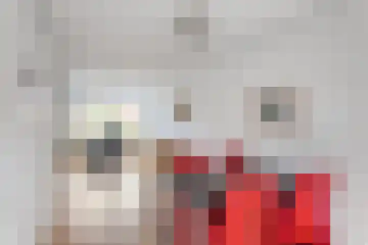 Hofkamp 117 Losser thumbnail 17