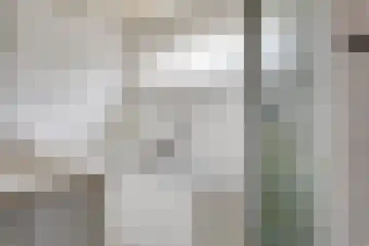 Hofkamp 117 Losser thumbnail 25
