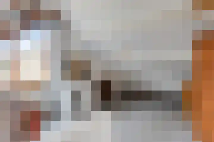 Hofkamp 117 Losser thumbnail 30