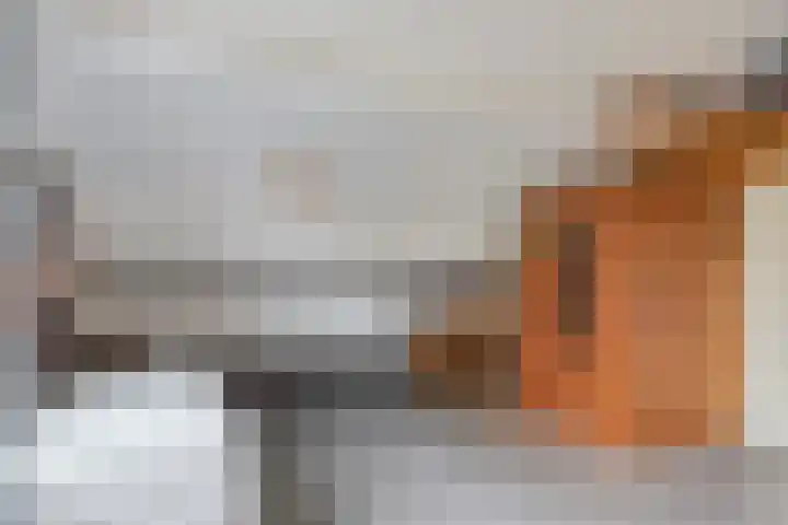 Hofkamp 117 Losser thumbnail 31
