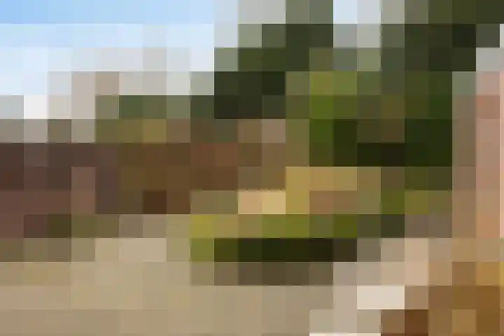 Hofkamp 117 Losser thumbnail 33