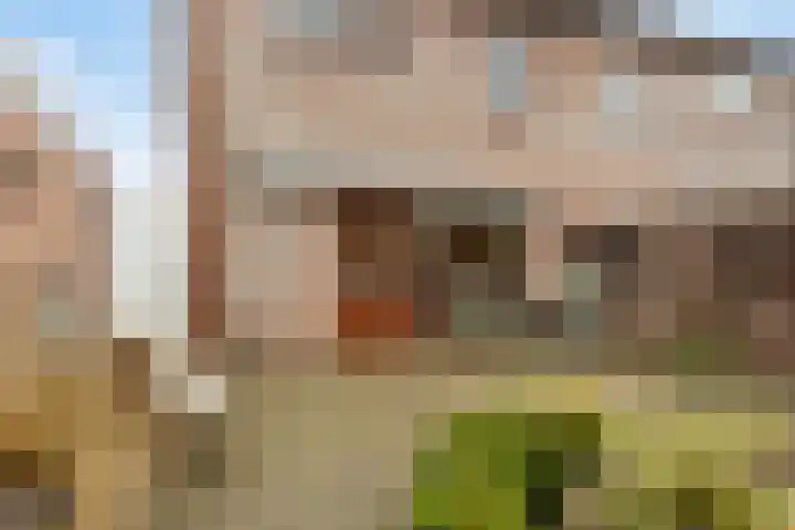 Hofkamp 117 Losser thumbnail 34