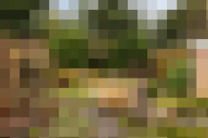 Hofkamp 117 Losser thumbnail 36