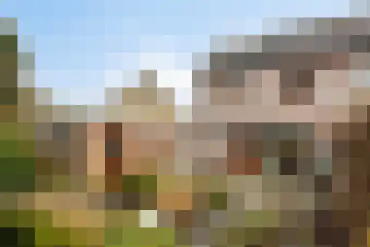 Hofkamp 117 Losser thumbnail 37