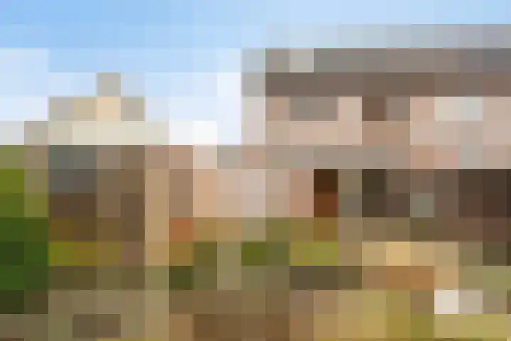 Hofkamp 117 Losser thumbnail 38