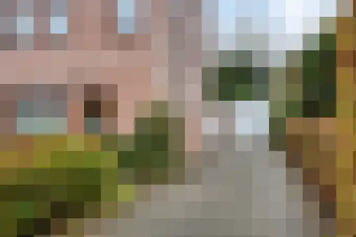 Hofkamp 117 Losser thumbnail 40