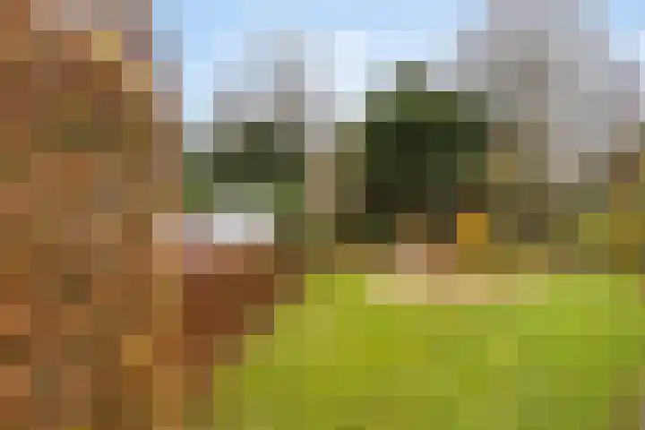 Hofkamp 117 Losser thumbnail 42