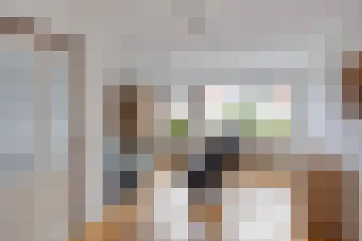 Hofkamp 117 Losser thumbnail 9