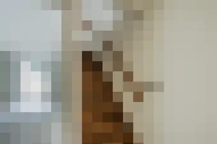 Hofkamp 121 Losser thumbnail 18