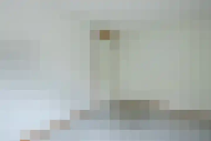 Hofkamp 121 Losser thumbnail 24