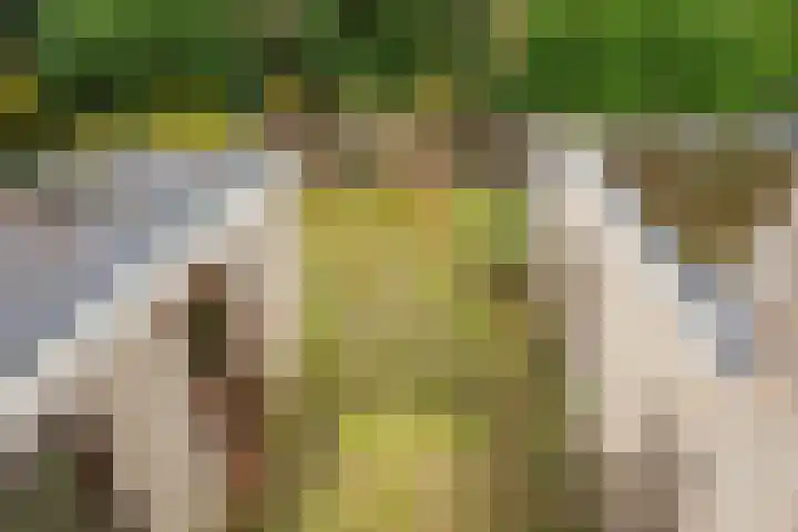 Hofkamp 121 Losser thumbnail 30
