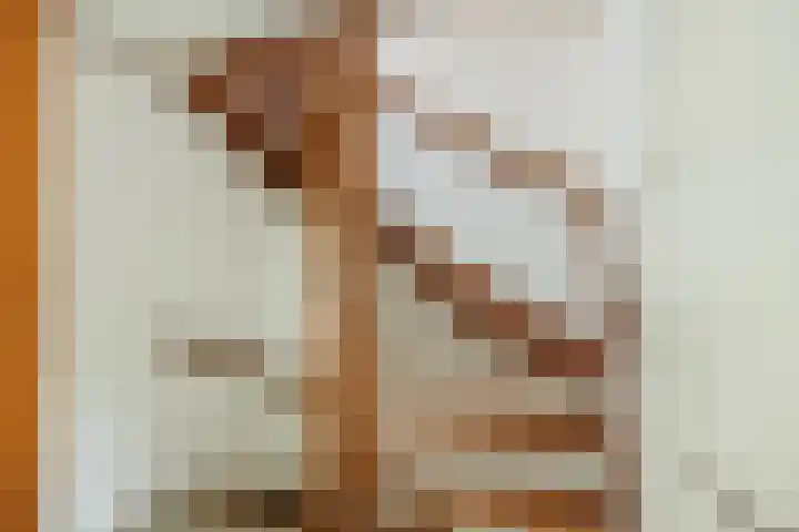 Hofkamp 121 Losser thumbnail 32