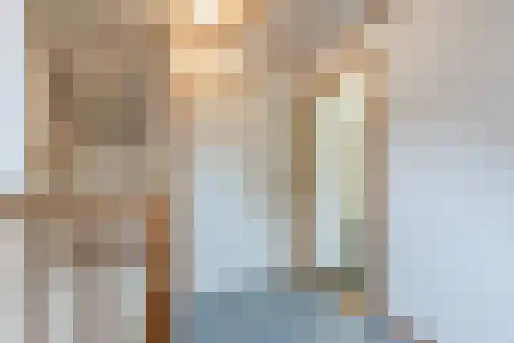 Hofkamp 121 Losser thumbnail 41