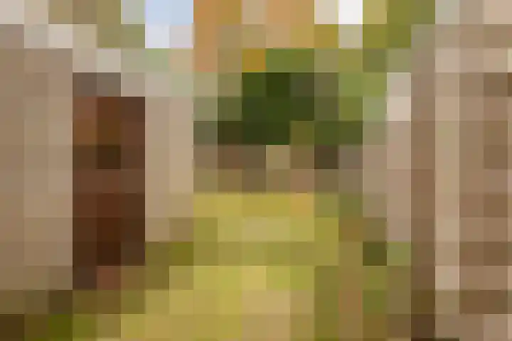 Hofkamp 121 Losser thumbnail 42