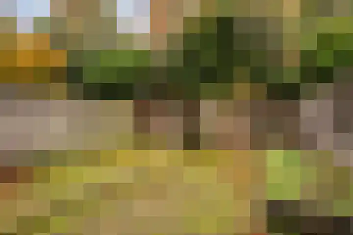 Hofkamp 121 Losser thumbnail 43