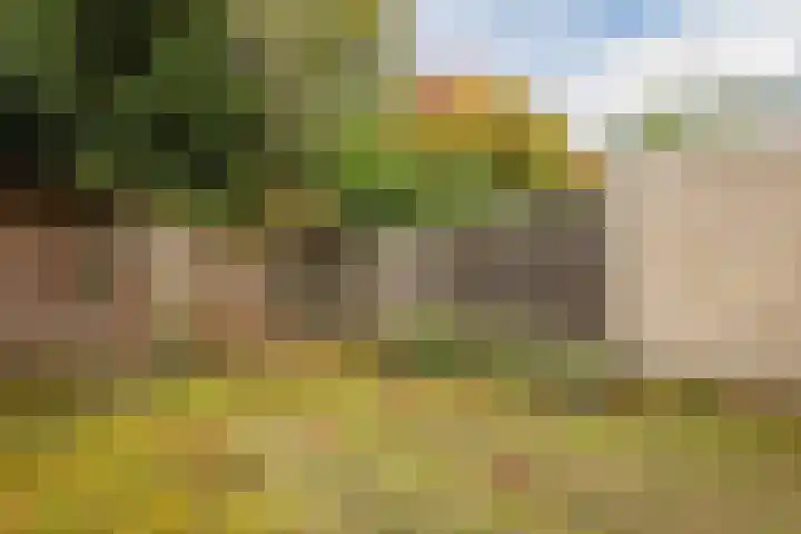 Hofkamp 121 Losser thumbnail 44