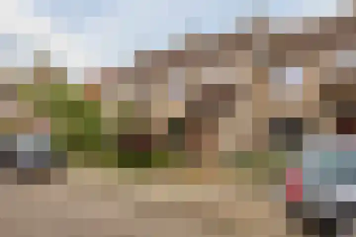 Hofkamp 121 Losser thumbnail 46